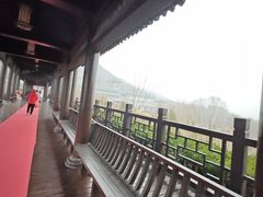 -徂徕山森林康养度假谷温泉