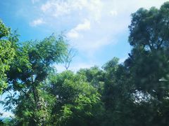 -玫瑰海岸文化旅游度假区