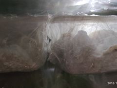 -袁记云饺(蛇口店)