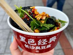 -黑色经典臭豆腐·湖南特产(太平街口店)