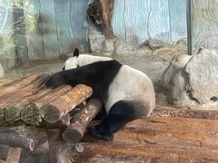 -海南热带野生动植物园