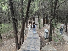 -云龙山