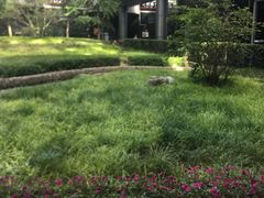 -星巴克(北京西大望路温特莱店)