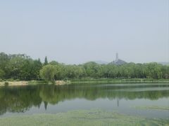 -北坞公园