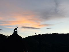 -清迈夜间动物园