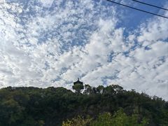 -上海佘山国家森林公园天马山园