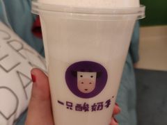 -一只酸奶牛(八一路店)