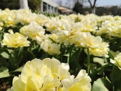 -玄武湖景区-情侣园游乐场