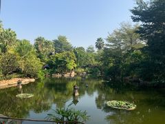 -厦门日月谷温泉渡假村