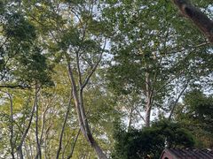 -杭州黄龙洞