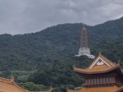 -深圳仙湖植物园