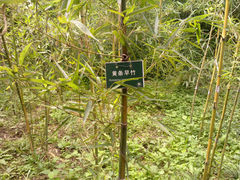 -紫竹院公园冰场