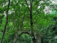 -青龙山国家森林公园