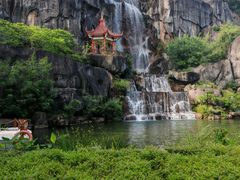 -金鸡山公园