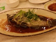 -嘉豪酒家(上环店)