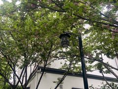 -南京市民俗博物馆(甘熙故居)