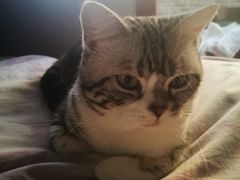 -纳吉亚猫专科动物医院博雅分院
