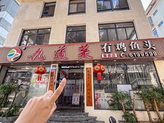 -九道菜有鸡鱼头(石鼓路店)