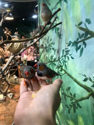 -Zoolung Zoolung动物主题公园(海信广场店)