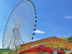 -南宁市凤岭儿童公园