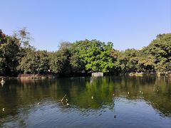 -荔湾湖公园