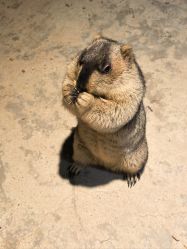 -酷嗒动物文化乐园(cutezoo西溪乐天城店)