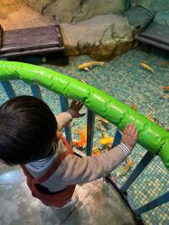 -酷嗒动物文化乐园(cutezoo西溪乐天城店)