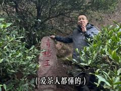 -华祥苑茶馆•国缤茶小蓝罐(普罗旺斯店)