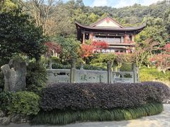 -十八棵（老龙井）御茶园(老龙井店)