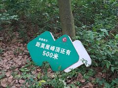 -雨花胜境