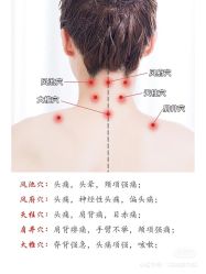 -香薇妮丝女子减肥院