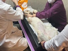 -宠爱国际动物医院·消化内科·心肾内科·ISFM猫友好(望京店)