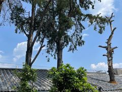 -瑞丰园庭院餐厅·白族传统家常菜