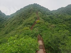 -大岭沟猕猴桃谷风景区