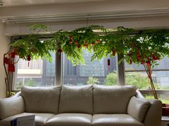 -精德口腔·种植修复·儿牙中心(财富中心店)