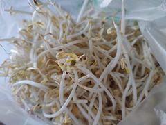 豆芽菜-北京清河镇农副产品交易市场中心