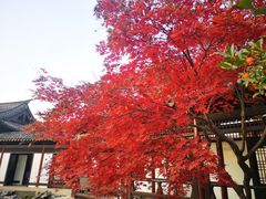 -常熟方塔园