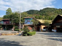 -海南槟榔谷黎苗文化旅游区