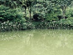 -明仕田园