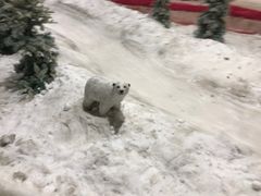 -赤马湖体育滑雪