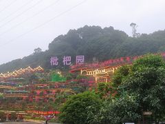 -枇杷园食为鲜火锅(南山店)