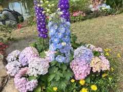 -人民公园(罗湖区)