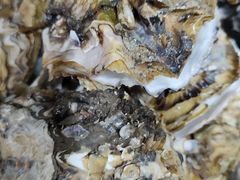 -宾朋海鲜美食餐厅·特色美食(兴海路店)