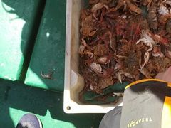 -嵊泗基湖沙滩