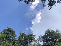 -野象谷景区