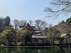 -井之头恩赐公园