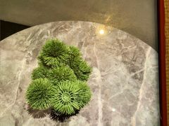 -漫·汤泉