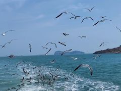 -海驴岛(荣成市)