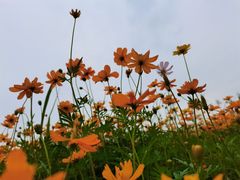 -洋湖国家湿地公园