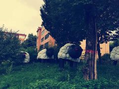 -青峰峡国家森林公园